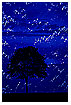  218 - Blue Tree - - 