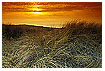 599 - Dune Landscape - Dünenlandschaft 