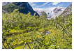  7125 - Bergsetbreen Glacier Landscape - - 