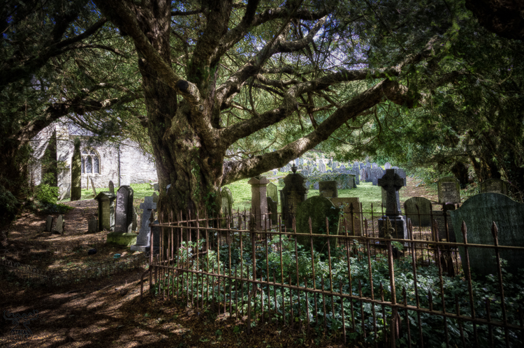8348 - Saint Brynach Cemetery - -