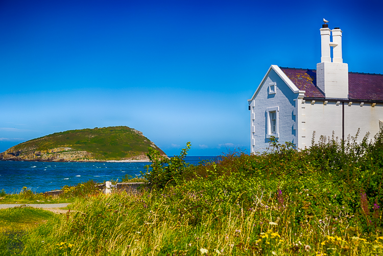 8597 - Puffin Island View - -