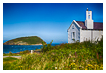  8597 - Puffin Island View - - 