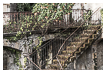  9850 - Forgotten stairways - - 