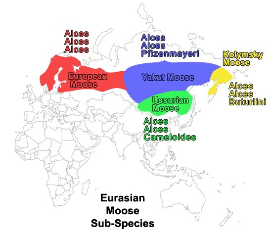 Eurasian Range