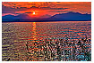  1916 - Cisano Sea Sunset - - 