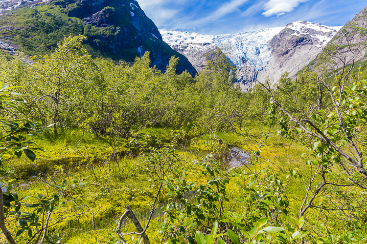 7125 - Bergsetbreen Glacier Landscape - -