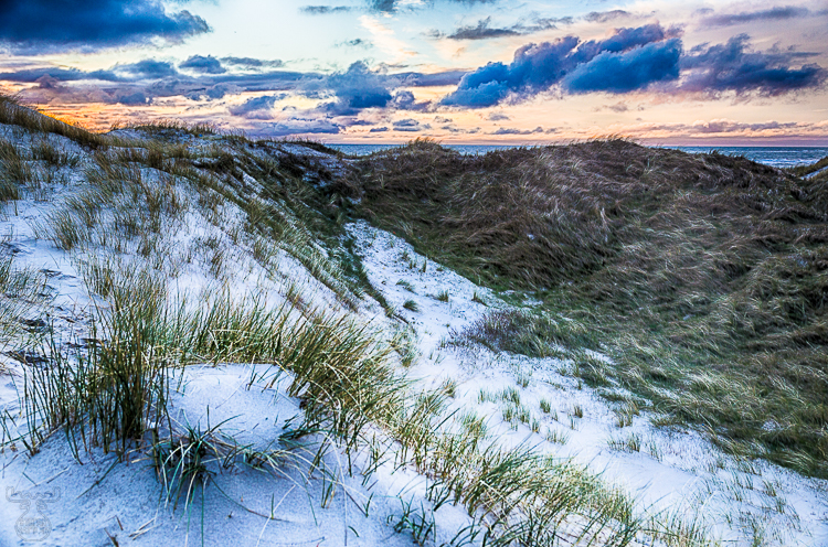 9040 - Little glance over the dunes - -