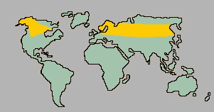 World Moose Regions