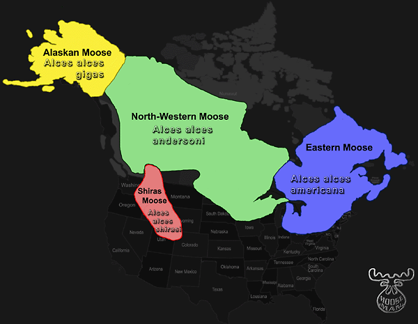 North American Range